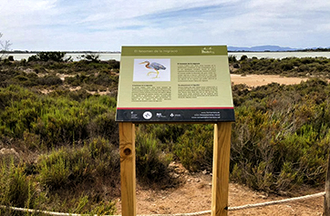 Formentera estrena nueva ruta birding